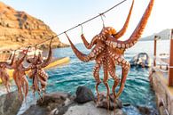 Inktvissen op Santorini van Laura V thumbnail