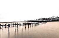 Chiemsee