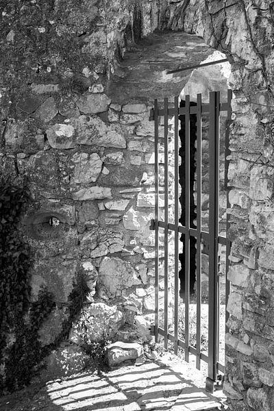 The Castle of Tornac in Cevennes (GARD), Frankrijk von marcel schoolenberg
