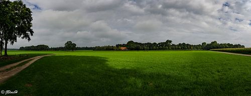Panorama 
