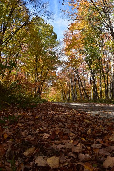 A country road in autumn by Claude Laprise
