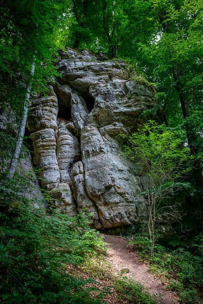 Felsen im Mullerthaler Wald, der einem Totenkopf ähnelt von Joost Adriaanse
