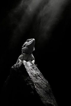 Lizard by Poster Art Shop