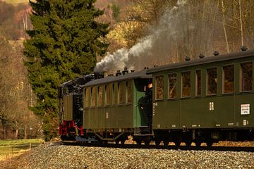 Fichtelbergbahn Erzgebirge van Johnny Flash