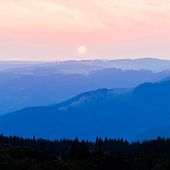 Schwarzwald Poster & Bilder