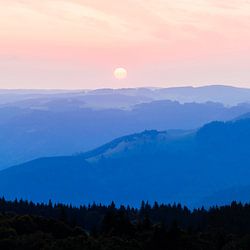 Schwarzwald Poster & Bilder