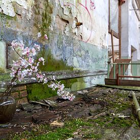 Blumen in einer verlassenen Fabrik von Patrick Beukelman