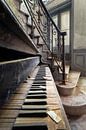 Detail of Abandoned Piano. by Roman Robroek thumbnail