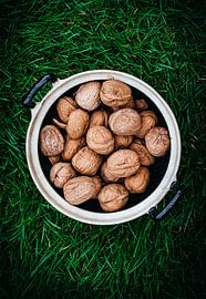 Walnuts by Daisy de Fretes