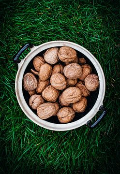 Walnuts by Daisy de Fretes