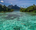 Flotter dans le lagon de Bora Bora par Ralf van de Veerdonk Aperçu