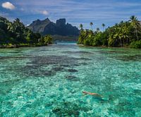 Flotter dans le lagon de Bora Bora