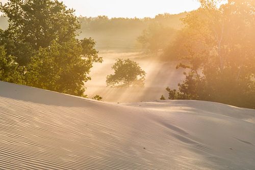 Zonsopkomst - Loonse en Drunense Heide van Laura Vink