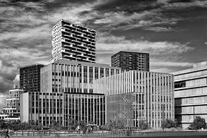 Stadtentwicklung in Utrecht im Gebiet Jaarbeurs