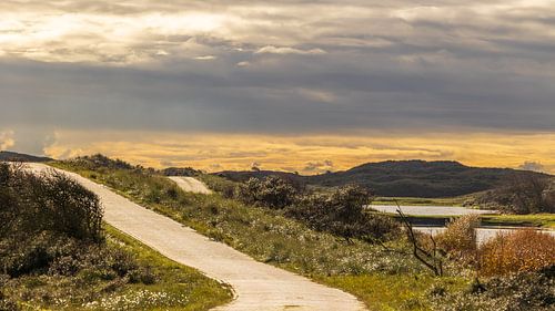 Sonne färbt bewölkte niederländische Dünenlandschaft