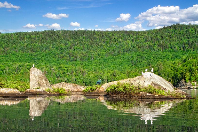 Camp de Pêche van Renald Bourque