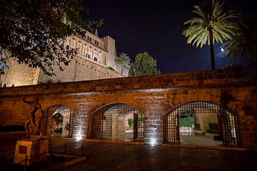 Palma de Mallorca - Royal Palace La Almudaina, Estàtua des Foner, Llac del Cigne, by t.ART