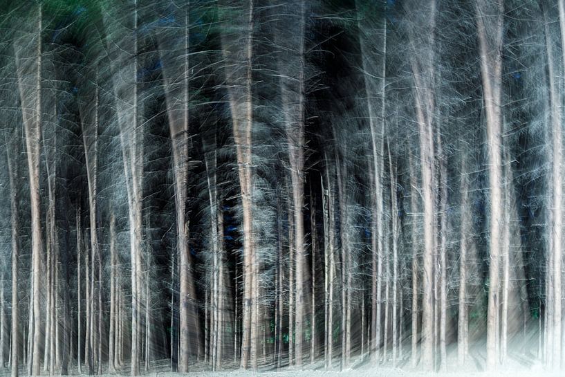 Forêt bleue par Dick Jeukens