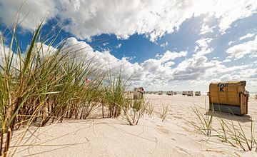 Baltic Sea Dunes by Dirk Thoms