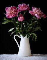 Still life of pink peonies in white vase