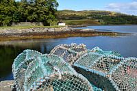 Fishing equipment at the water's edge
