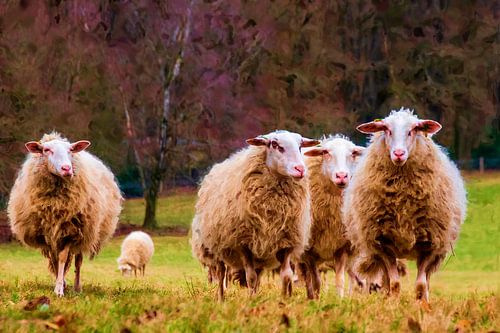 Marcher le long des moutons.