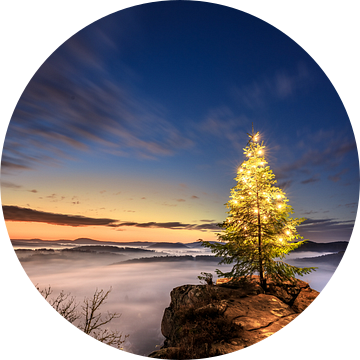 Een dennenboom, kerstboom op een rots in de ochtend van Fotos by Jan Wehnert