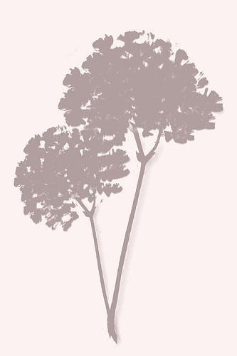 Botanical art, Modern by Caroline Drijber