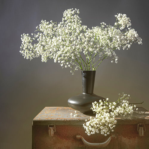 Still life with flowers. Cut flowers.