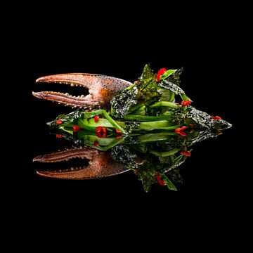 Rivierkreeft zweewier, crayfish seaweed van Corrine Ponsen