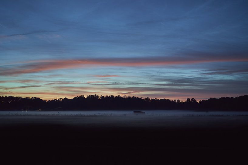 Field by Mike Ahrens