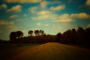 Dordtse Biesbosch