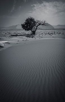 Lignes du désert dans les dunes du Namib de Namibie, Afrique sur Patrick Groß