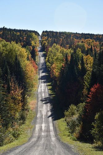 Een landweggetje in de herfst