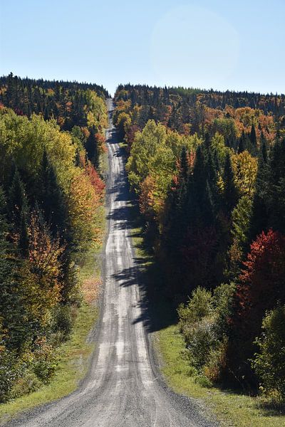 A country lane in autumn by Claude Laprise