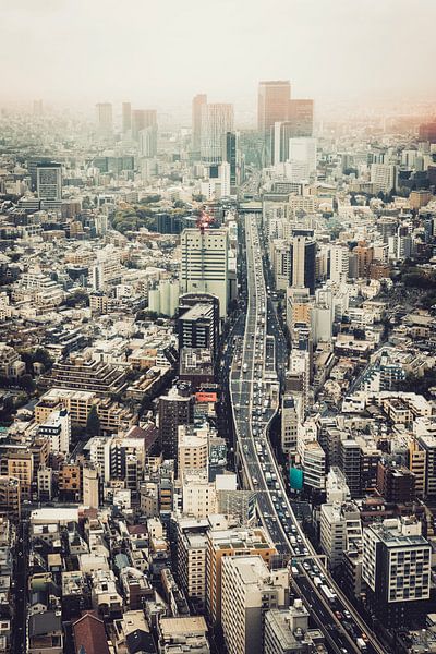 From Roppongi to Shibuya par Pascal Deckarm