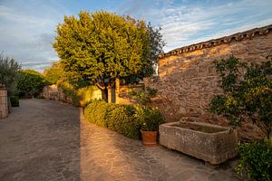 Finca auf Mallorca