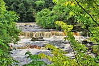 Aysgarth Upper Falls - Wasserfall van Gisela Scheffbuch thumbnail