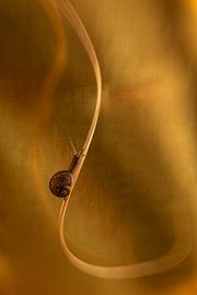 Ganzer Aufstieg von Mariëro Fotografie