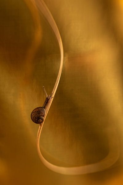 Whole climb up by Mariëro Fotografie