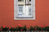 Hinter den deutschen Geranien