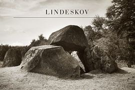 Dolmens at Lindeskov Hestehave, Ørbæk, Denmark