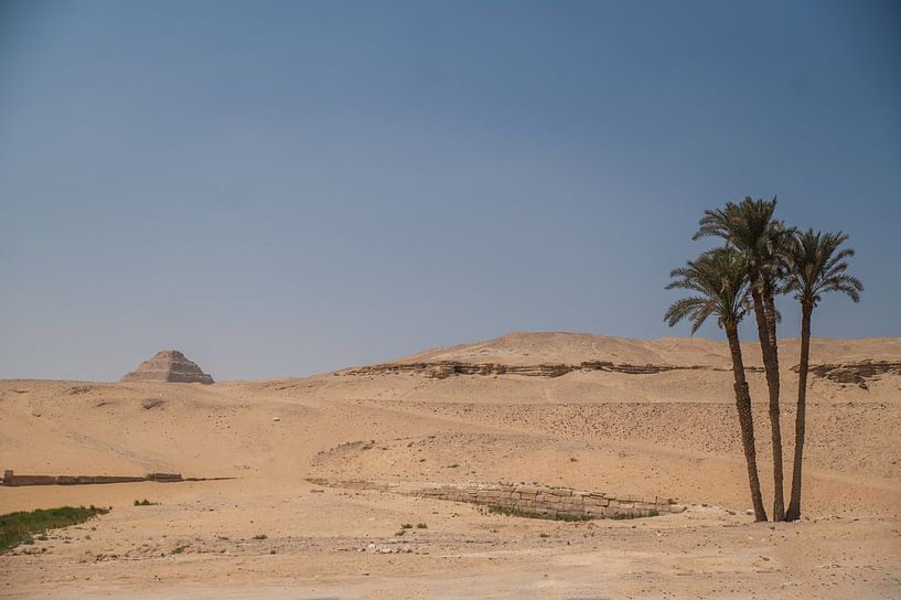 Palmiers avec la pyramide de Saqqara en arrière-plan par Stefanie de Boer