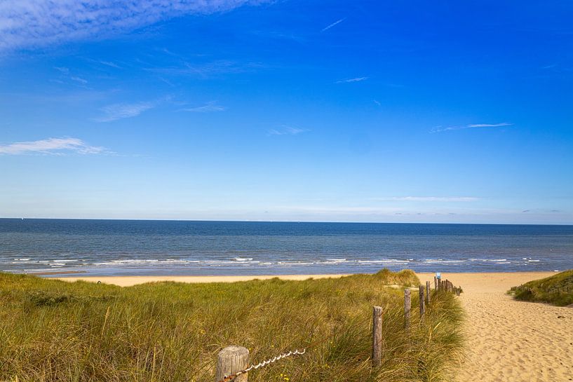 Dune outlet by Michael Ruland