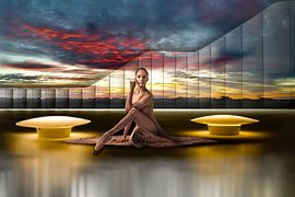 The Ballarina... by Gerard Valckx