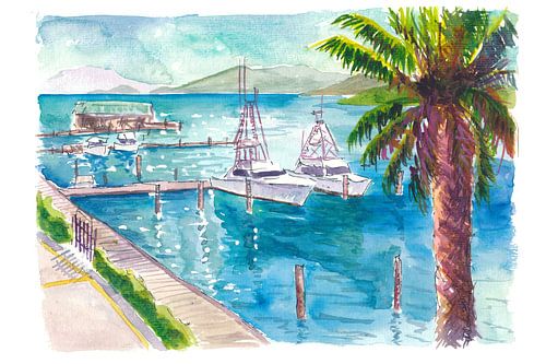 Scène de port à Red Hook St. Thomas US Virgin Islands