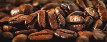 Kaffeebohnen als Panorama von Leinemeister