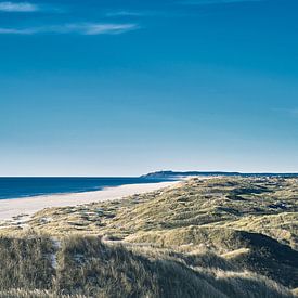 Bay of Jammer in summer by Florian Kunde