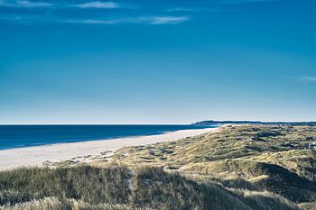 Baai van Jammer in de zomer