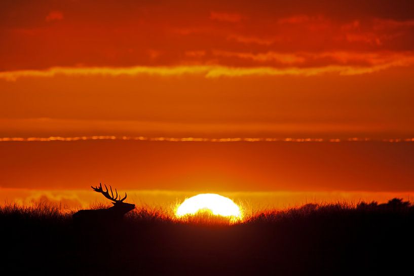 Zonsondergang op de veluwe van Ina Hendriks-Schaafsma